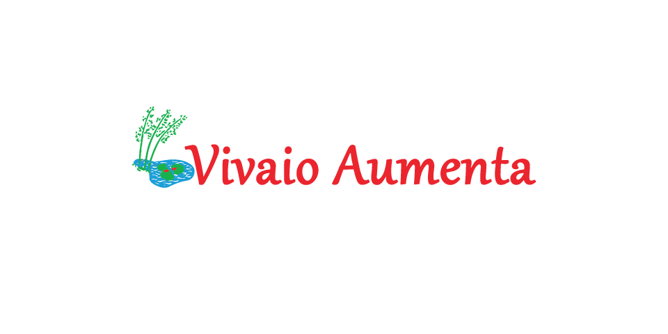 LOGOSPONSORVIVAIOAUMENTA